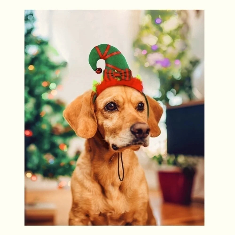 SPOT Dog Christmas Elf Headband Holiday Hat Adjustable Medium / Large